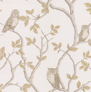 Tree owls leaves wallpaper nature - two owl free wallpaper for tablet