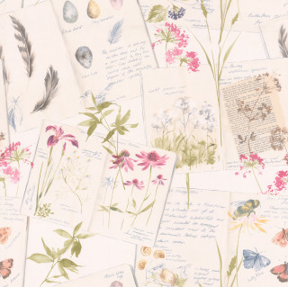 Autumn butterfly flower deer tree - flower and butterflies free wallpaper for tablet