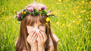 Girl wreath flowers mouth napkin - her mouth free wallpaper for desktop
