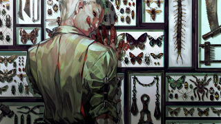 Man butterflies moths museum display - display in a museum free wallpaper