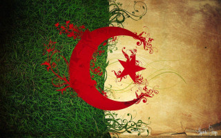 Grungy flag star crescent grass - ahmed yacoubi free wallpaper