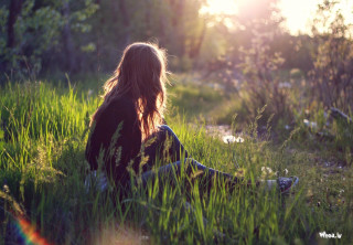 Woman sitting grass sunlight trees - nature free wallpaper