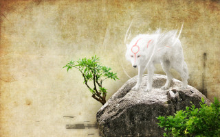White wolf statue rock tree - top of a rock next free wallpaper for desktop