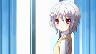 Girl white hair vest window - a blue curtain behind her free wallpaper