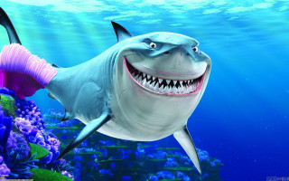 Shark pink tail smile swimming - other fish free wallpaper