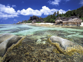Beach rocks corals blue sky - didier mouron free wallpaper for desktop