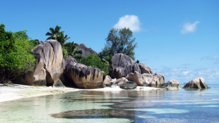 Beach rocks trees water blue 2 - rock and trees free wallpaper for desktop