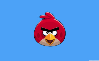 Red angry bird blue background - david young cameron free wallpaper for desktop