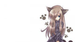 Anime girl long hair cat 3 - long hair and a cat ears free wallpaper