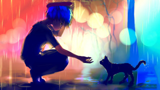 Boy kneeling cat rain colorful 2 - a colorful background behind free wallpaper