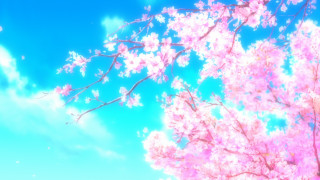 Pink tree blue sky clouds - kyoto animation free wallpaper
