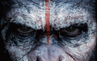 Monkey closeup red lines face - weta digital free wallpaper for desktop