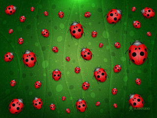 Ladybugs green background bubbles dots - pincushion len free wallpaper