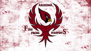 Red cardinals logo fire heaven - art fitzpatrick free wallpaper