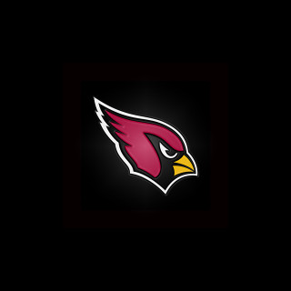 Cardinal logo bird head digital - art fitzpatrick free wallpaper for tablet