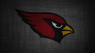 Cardinals logo bird head rain - northwest school free wallpaper