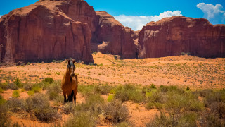 Horse desert mountains grass sky - the middle of a desert free wallpaper