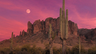 Full moon mountain cactus pink - a pink sky in the background free wallpaper