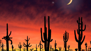 Full moon desert cacti sunset - a full moon free wallpaper for desktop