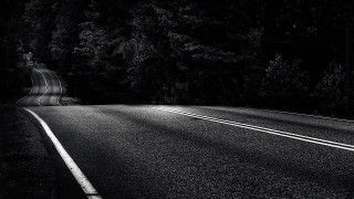 Black white road trees stop - the side of the road free wallpaper for desktop