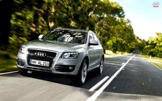 Silver car driving road trees 2 - both side of the road free wallpaper