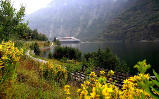 Cruise ship lake mountains trees - a cruise ship free wallpaper