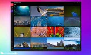 Computer screen bird flying pictures - affinity photo free wallpaper for desktop