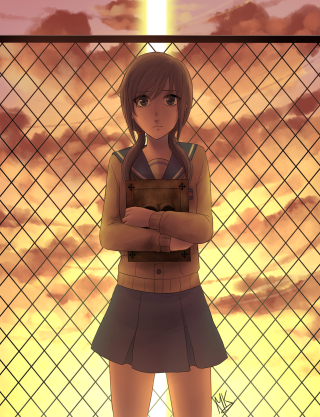 Girl fence arms crossed sunset - her arm free wallpaper for mobile