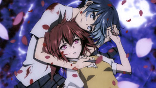 Anime couple blood petals moon - vanita free wallpaper for desktop