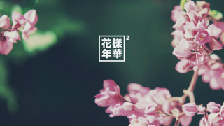 Flower closeup japanese writing image - chen lu free wallpaper