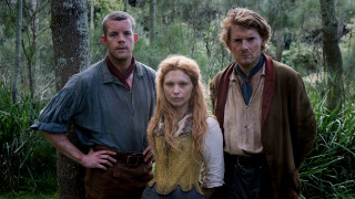 Forest group people trees bushes - a forest next free wallpaper for desktop