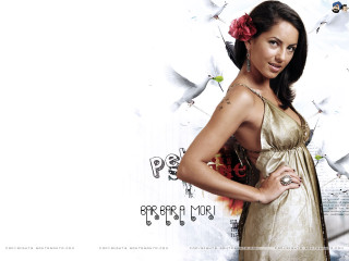 Woman dress posing birds flying - bird free wallpaper for desktop