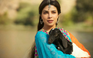 Woman holding goat water trees - near free wallpaper