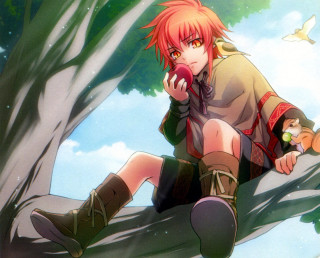 Person sitting tree branch bird - behind them free wallpaper