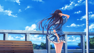 Woman long hair bench looking - above her head free wallpaper for desktop