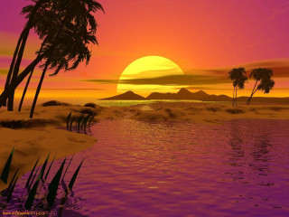 Sunset palm trees water mountain 4 - palm tree and a body of water free wallpaper for desktop