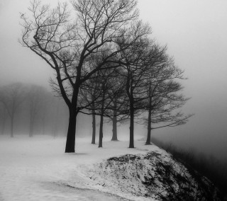 Black white trees snow hill - free winter wallpaper for tablet