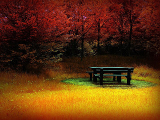 Bench trees red sky autumn - a red sky in the background free wallpaper