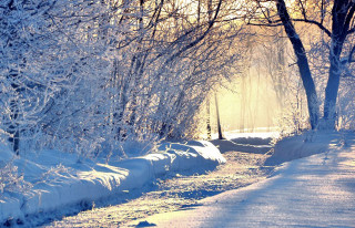 Snowy path trees bench sunbeam - magical realism free wallpaper