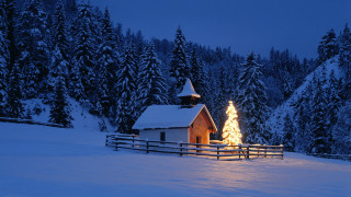 Snowy barn christmas tree night - a snowy landscape free wallpaper for desktop