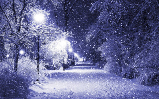 Snowy night park streetlight trees - magical realism free wallpaper for desktop