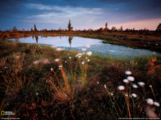 Pond grass trees dusk person - the distance in the distance free wallpaper