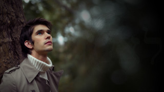 Man standing tree forest looking - cedric seaut keos masons free wallpaper