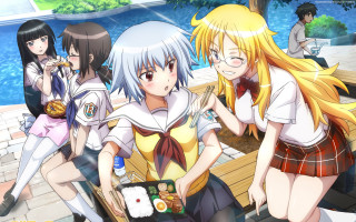 Girls bench sushi beer pool 2 - a group of girls free wallpaper