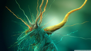 Close up tree branches trunk - biopunk free wallpaper for desktop