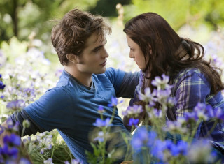 Young man woman sitting field 3 - looking free wallpaper