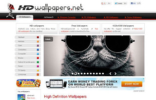 Cat sunglasses looking camera website - a cat free wallpaper for desktop