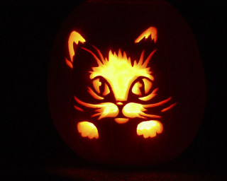 Carved pumpkin cat face glowing - pumpkin free wallpaper