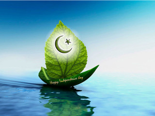 Green leaf crescent star water - floating free wallpaper