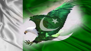 Green white flag eagle star - flag free wallpaper